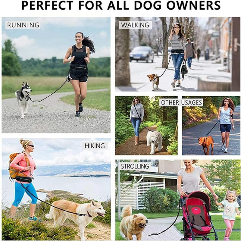 Jog With Your Dog - Fabulously Comfortable Hands Free Dog Leash - Mitra Best Bark Bargains 