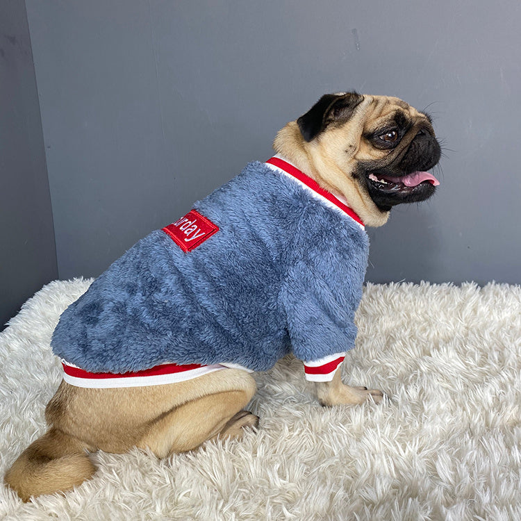 Cozy Pet Sweater for Warmth and Style - Mitra Best Bark Bargains 