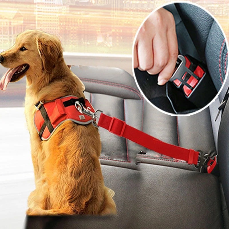 Adjustable Pet Car Seat Belt & Harness for Ultimate Safety - Mitra Best Bark Bargains 