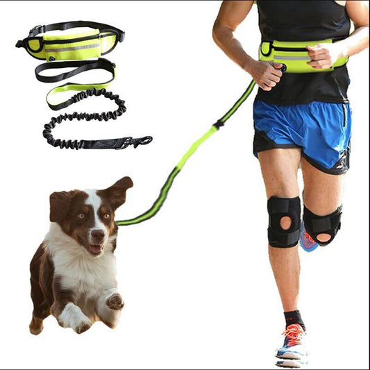 Jog With Your Dog - Fabulously Comfortable Hands Free Dog Leash - Mitra Best Bark Bargains 