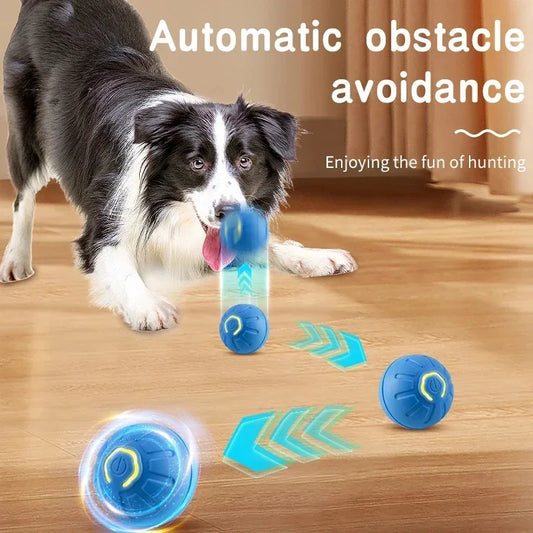 Interactive Smart Dog Ball With Automatic Bouncing - Mitra Best Bark Bargains 