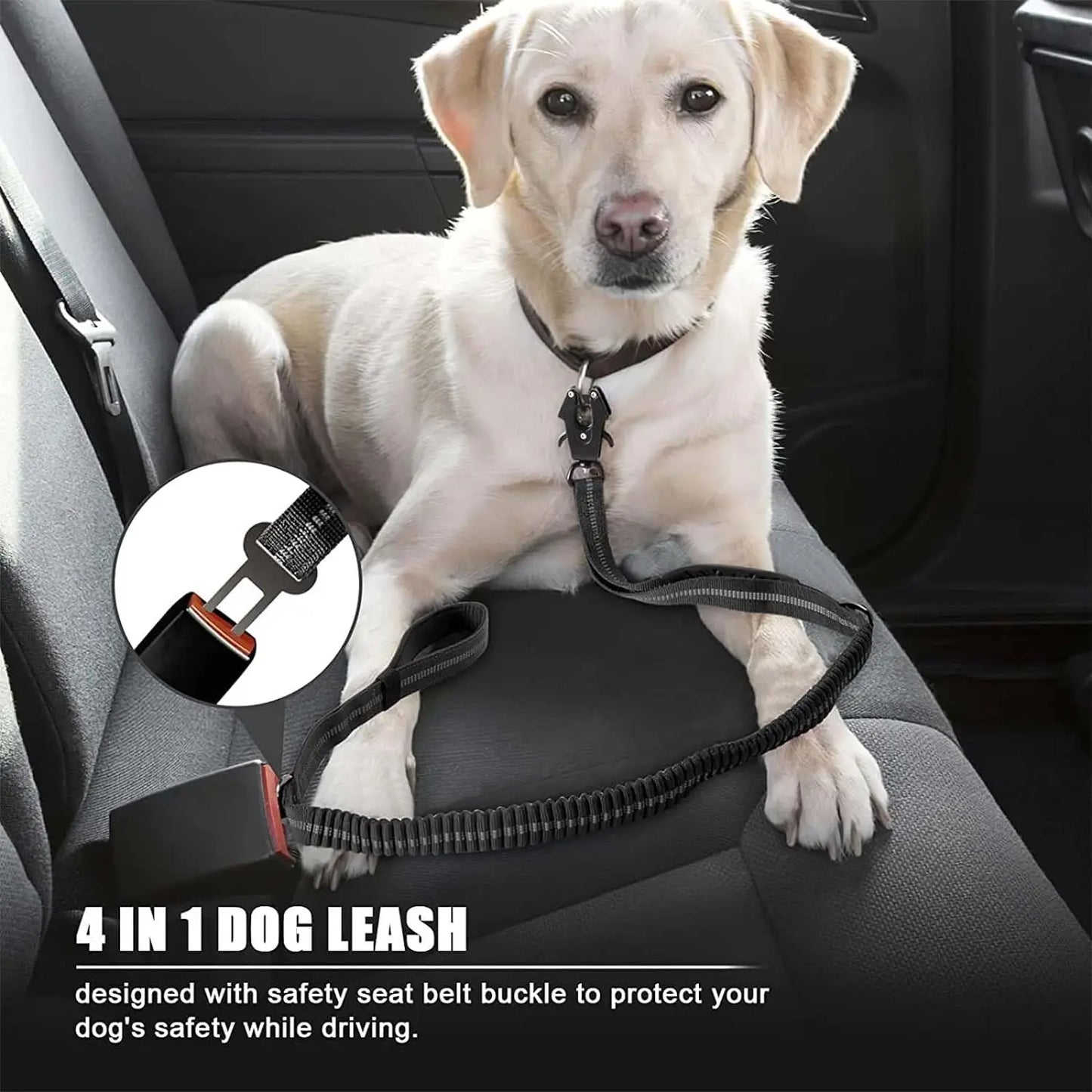 Heavy-Duty Bungee Dog Leash with Built-in Seatbelt Clip - Mitra Best Bark Bargains 