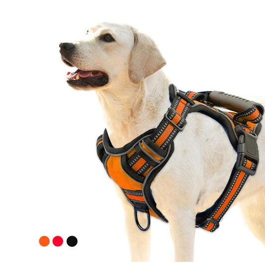 No-Pull Reflective Dog Harness for Safe Walks - Mitra Best Bark Bargains 